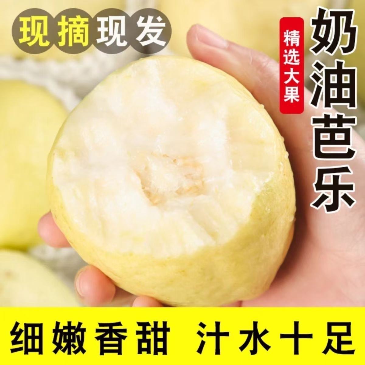 正宗广西白心芭乐当季番石榴清脆香檽甜鸡屎果孕妇新鲜水果番石榴