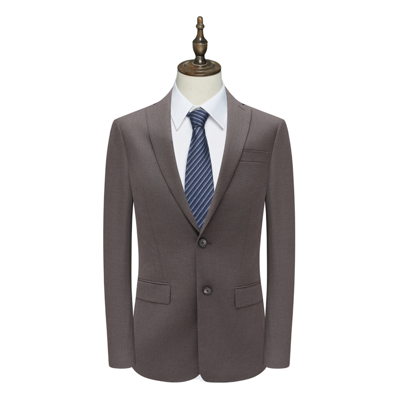 B1573鸟男式春秋西服 两粒扣后中开衩商务西装 206704
