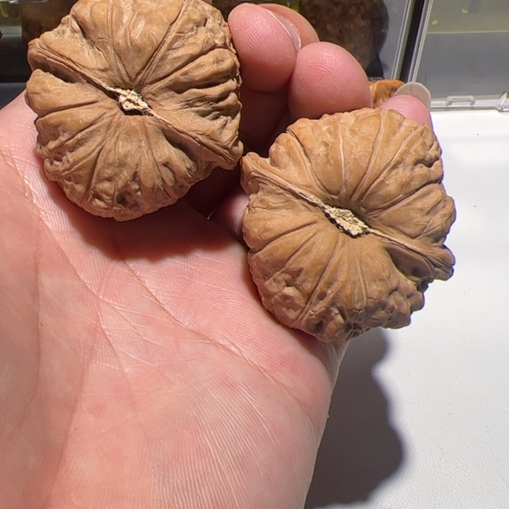 在一起真的没有安全感是我