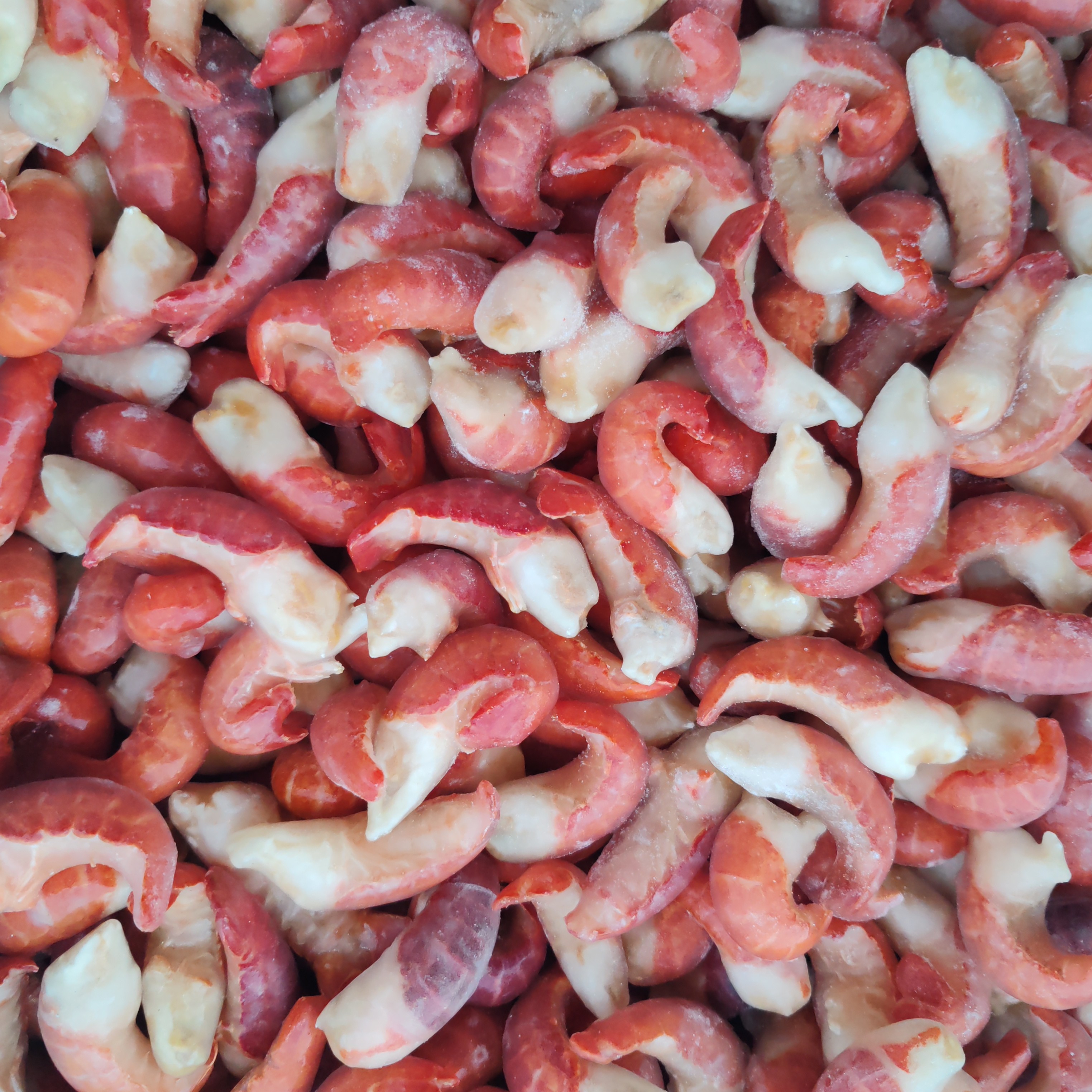 干冰特级龙虾尾