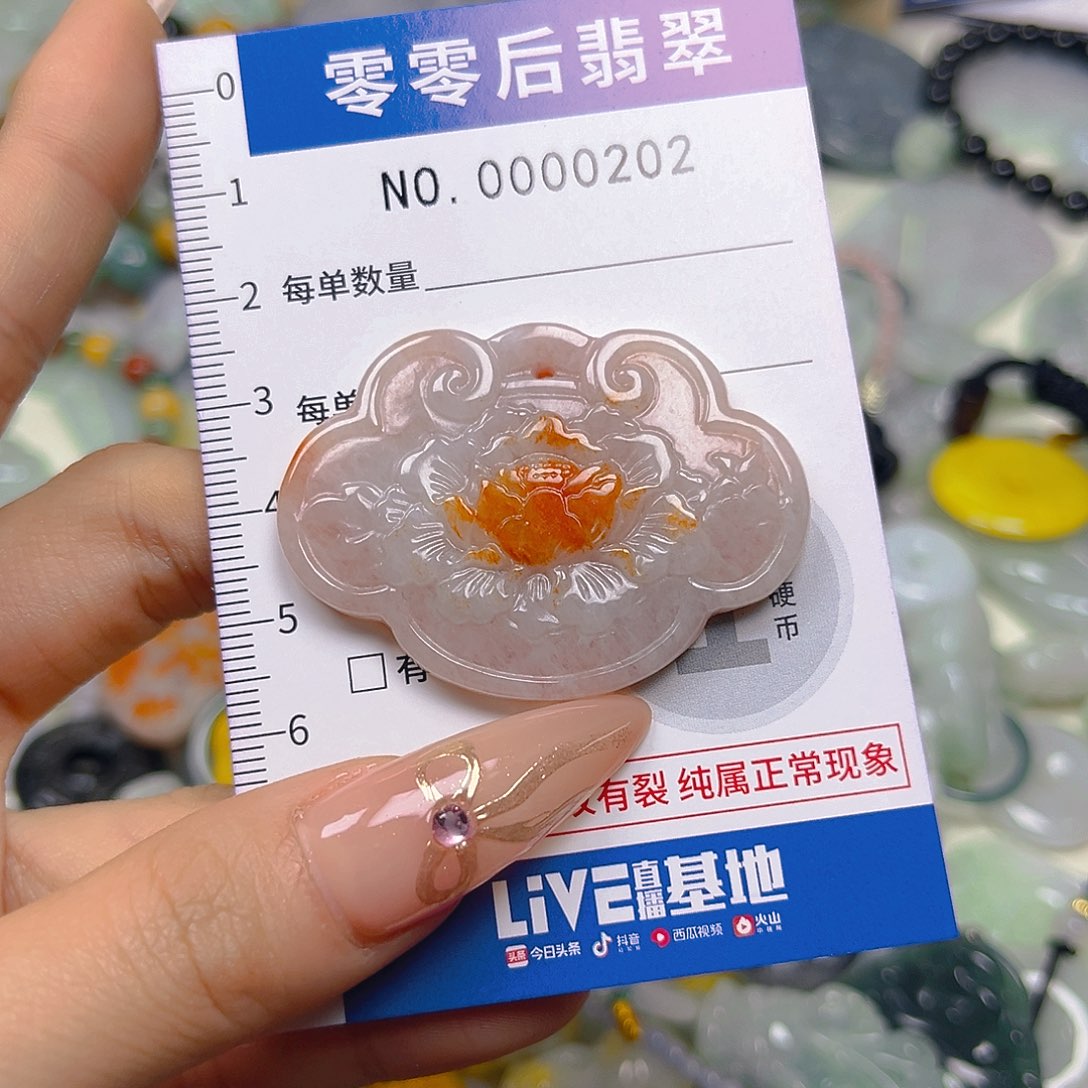 翡翠未镶嵌颈饰hhh