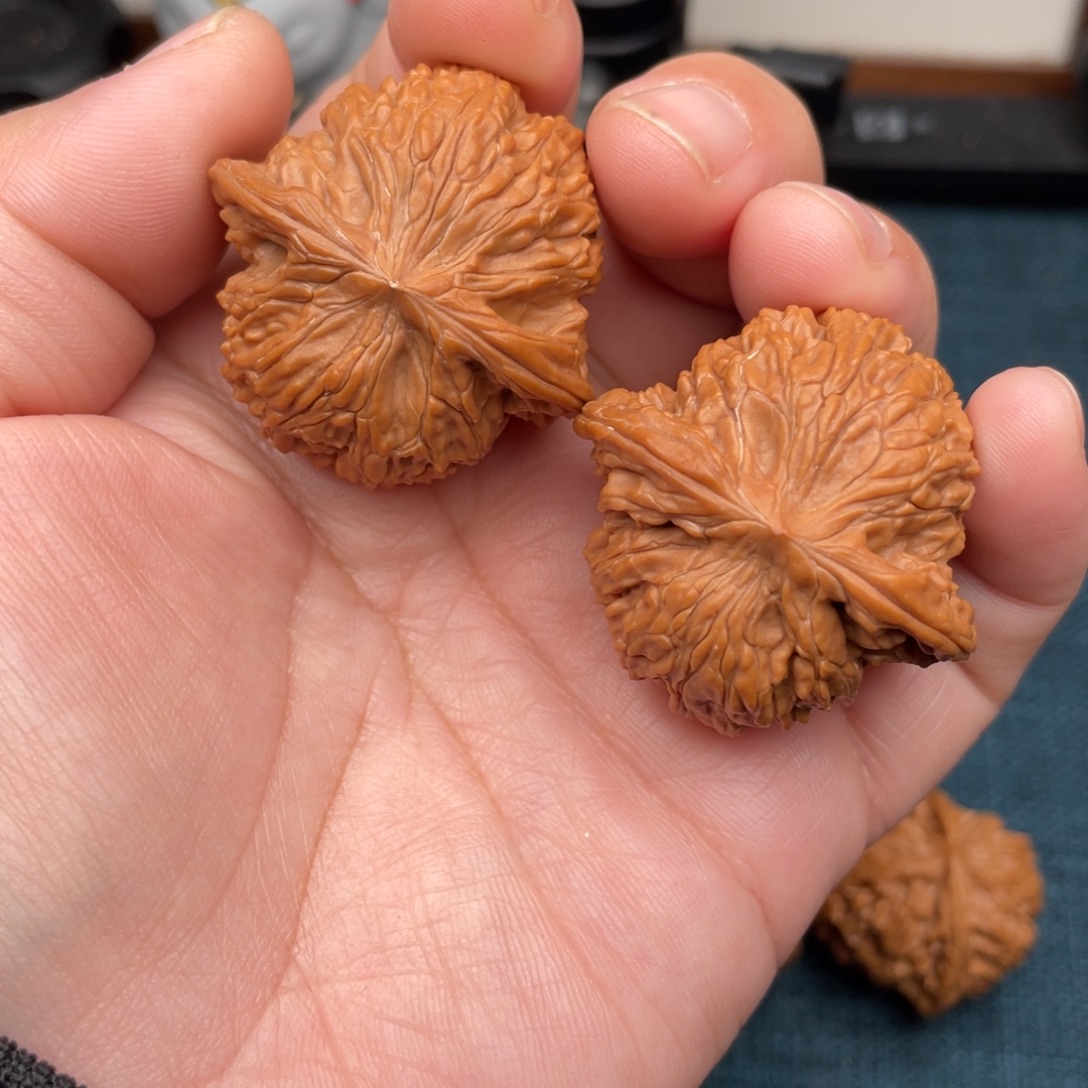 文玩核桃把件全品山地磨39.8