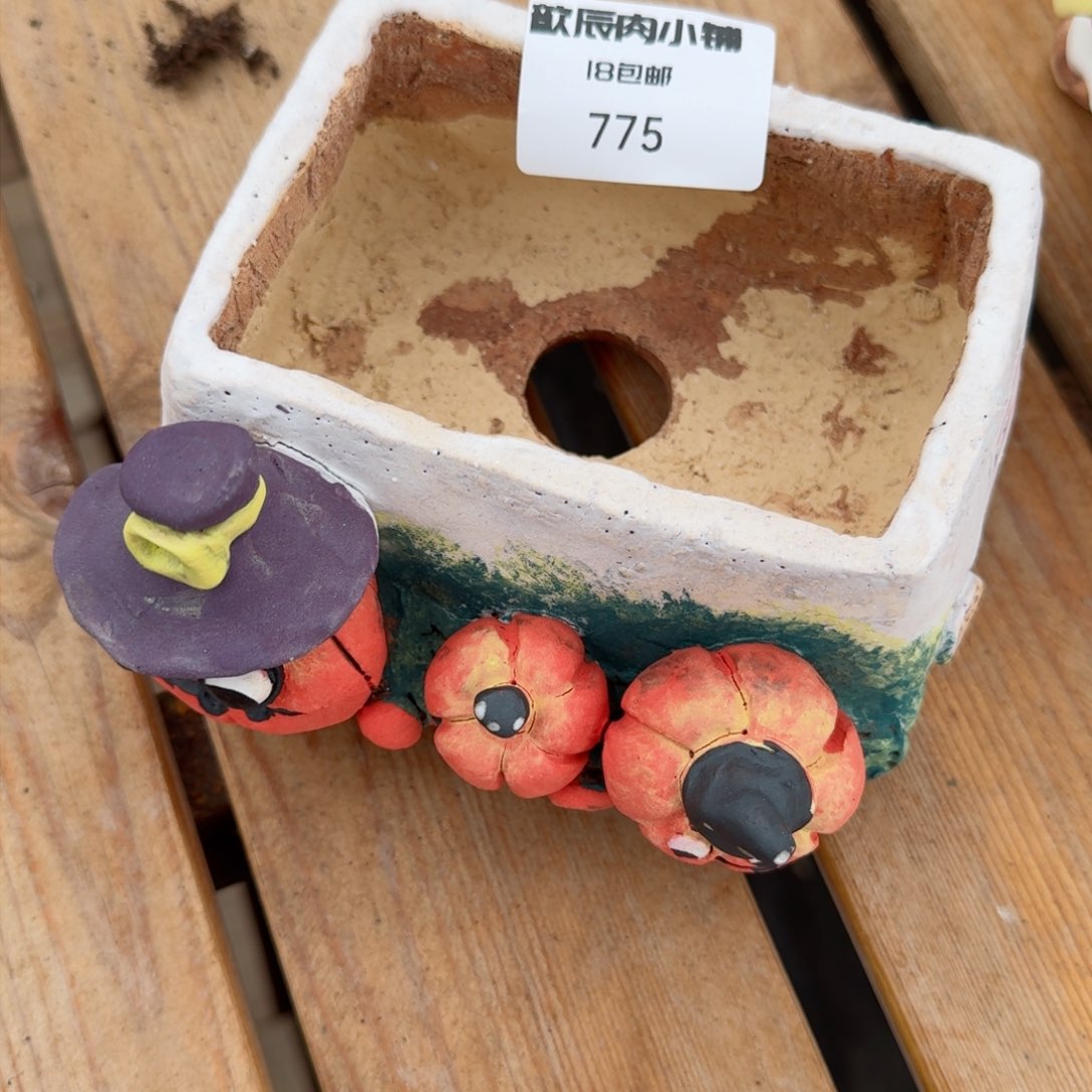 诺*姐姐新年快乐发发发775