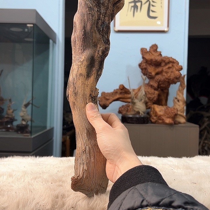 柏木百****.我们都是好孩子呀我也是