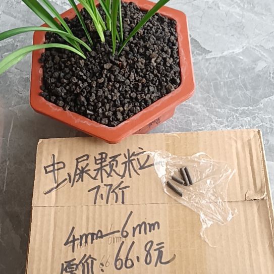 老***伯兰菌黑山土虫屎颗粒7.7斤
