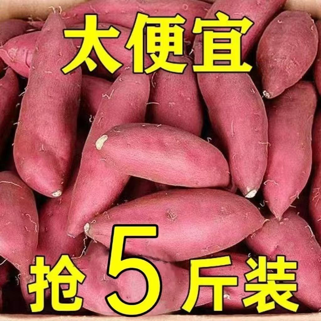 7月现挖现发】沙地小蜜薯沙地红薯新鲜现挖红心地瓜番薯山芋蜜薯