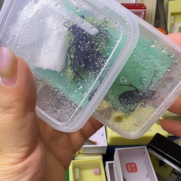 电报蛉哈哈哈哈哈哈哈哈哈