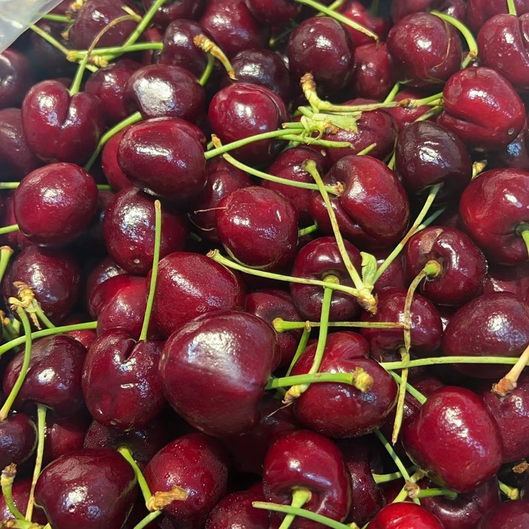 二斤海运JD车厘子(果杆压根表面坑洼正常机械伤)智利