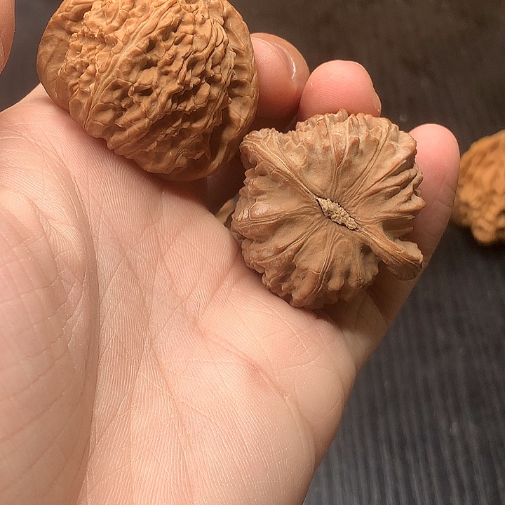 吊坠文玩核桃41白狮子