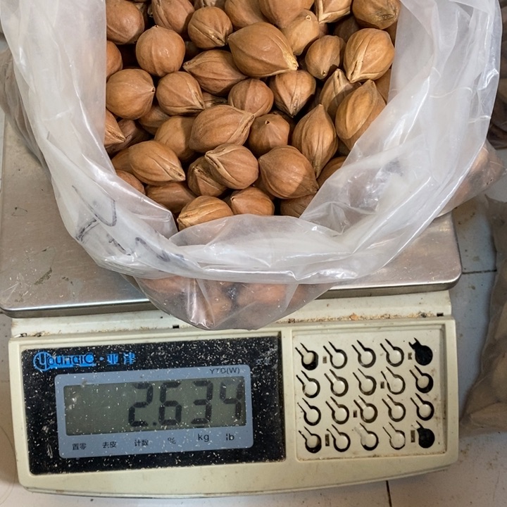 吊坠橄榄核凤****面這個問題真的