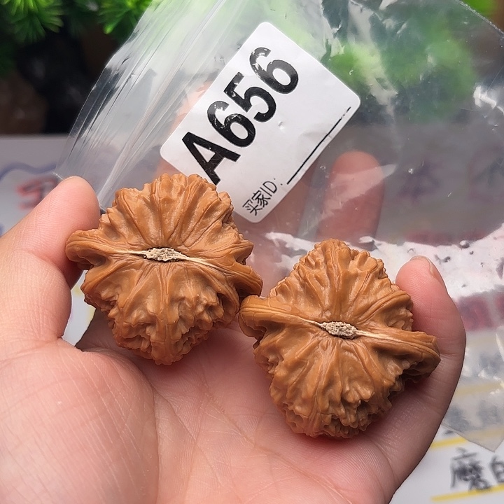 把件桃核核桃白狮子43