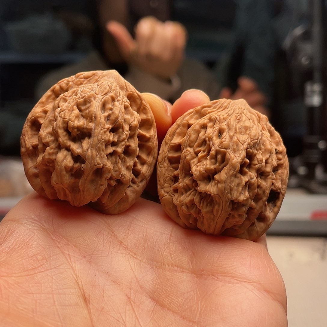 虎头9元钱左右我来