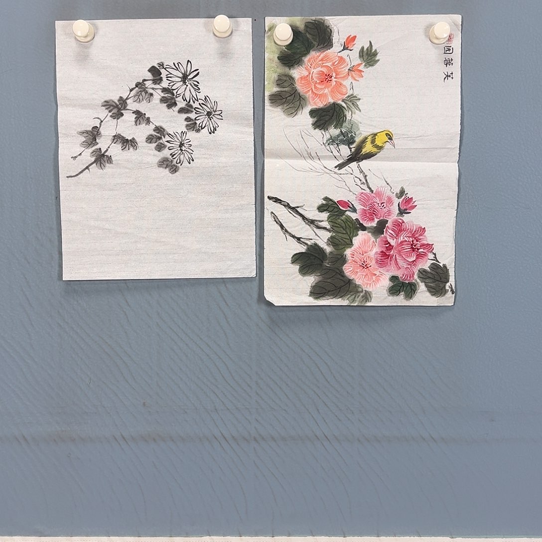 国画203 牡丹一如您初来乍到