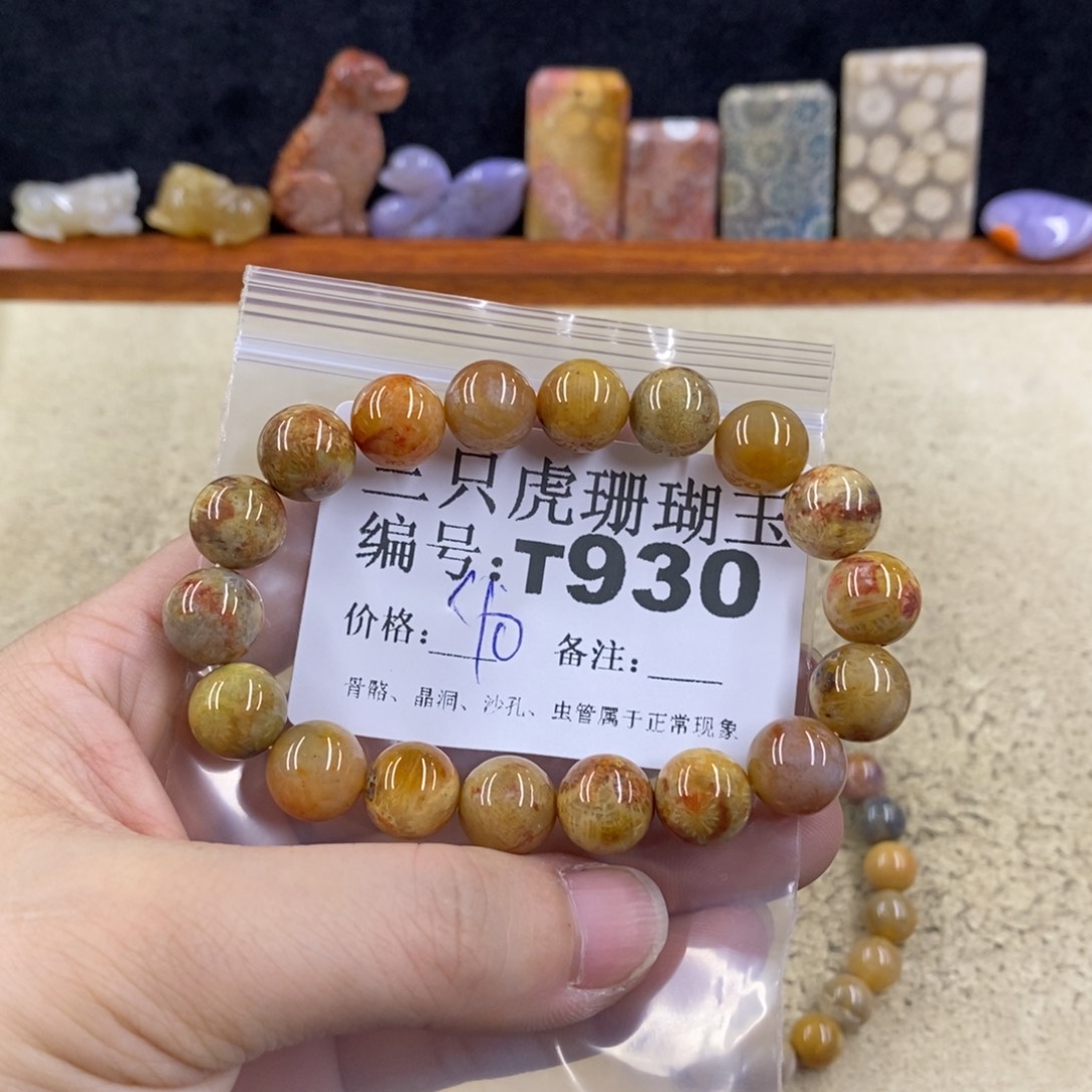 硅化珊瑚（珊瑚玉）1未镶嵌小*.