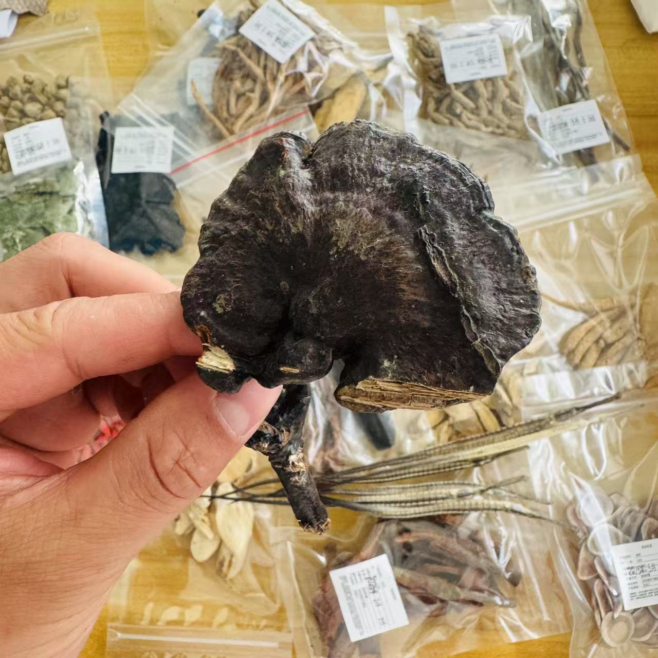 灵芝组合料5斤装（可泡5斤）