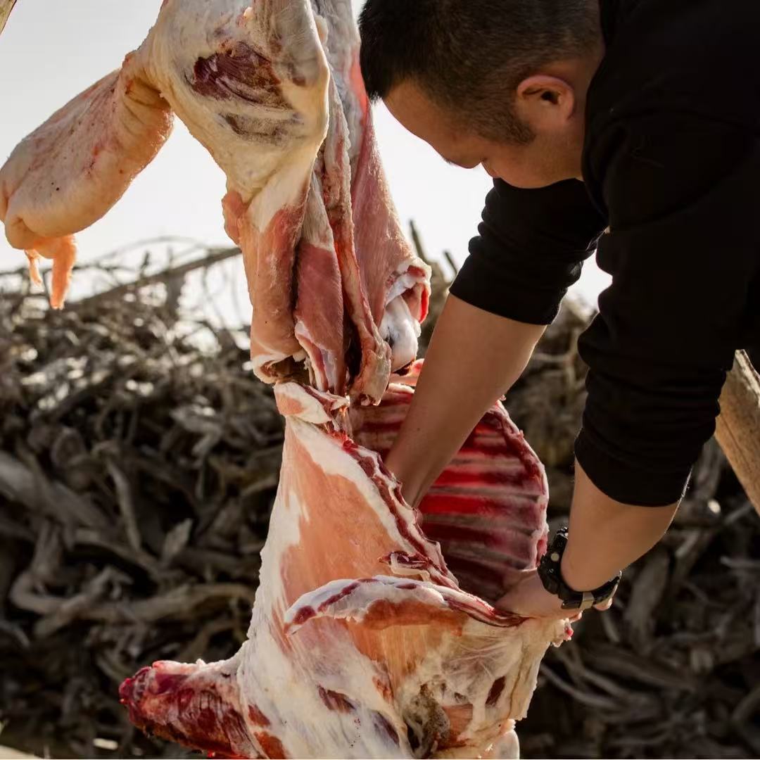 内蒙古阿拉善牧区溜达羊肉