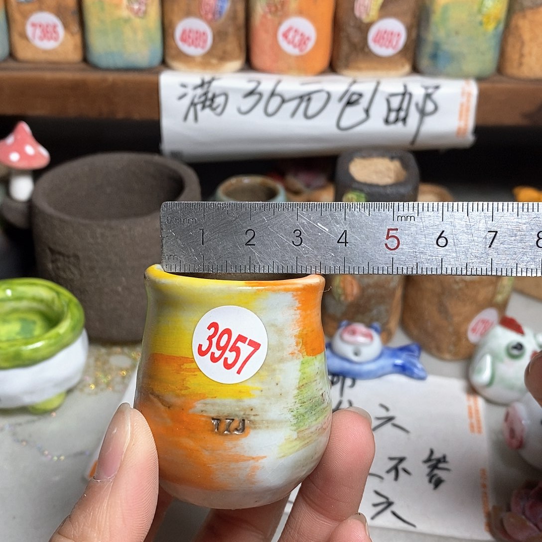 红陶拍5送一个小