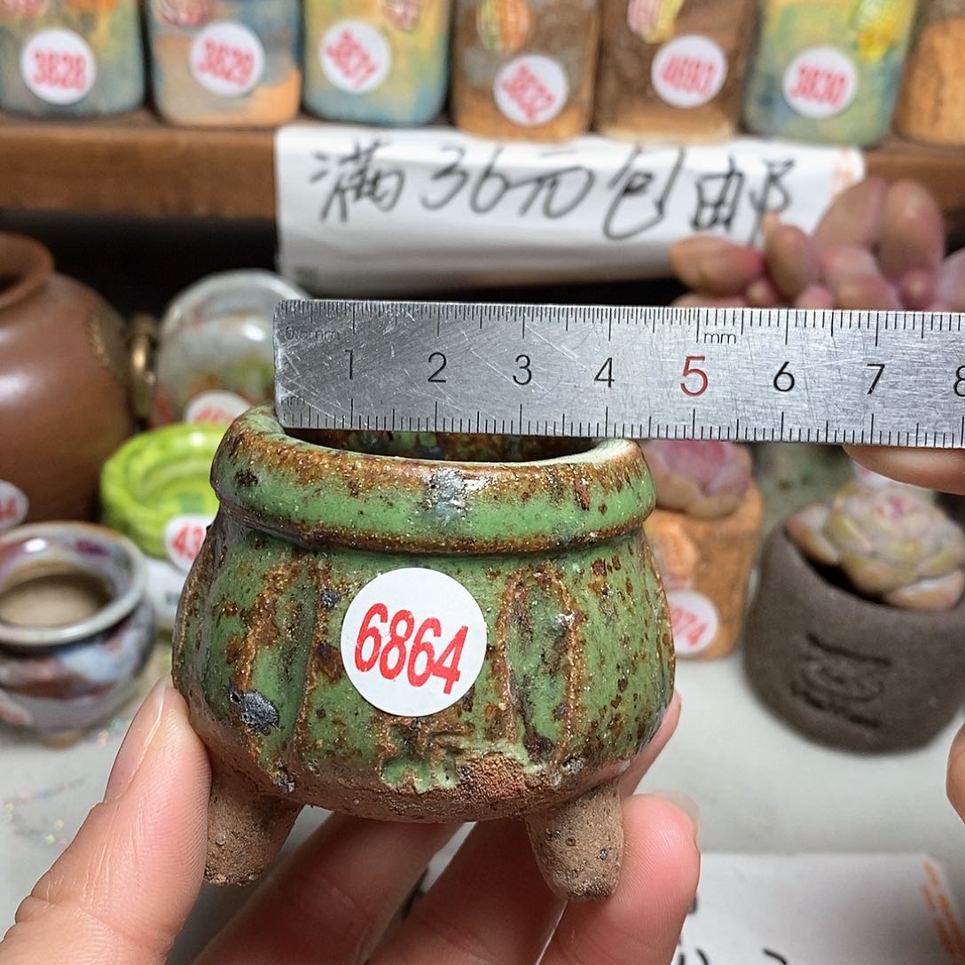 红陶拍5送一个小