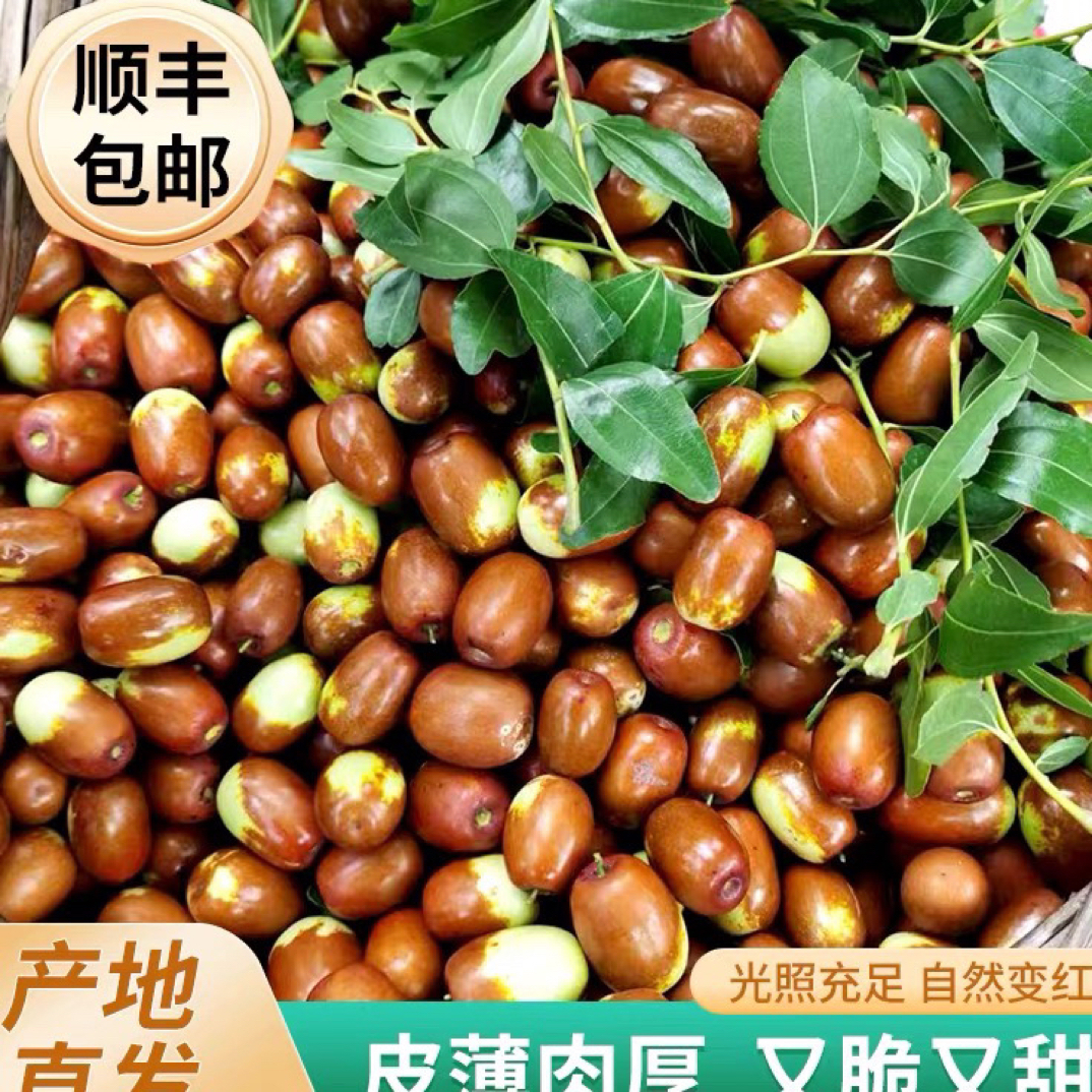 （省外）正宗朝阳孙家湾平顶大枣 （脆枣）