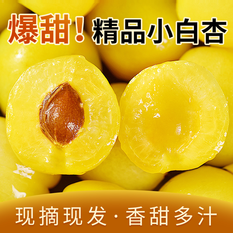 现摘小白杏爆甜新鲜水果当季整箱轮台库车白杏子孕妇黄杏珍珠油杏