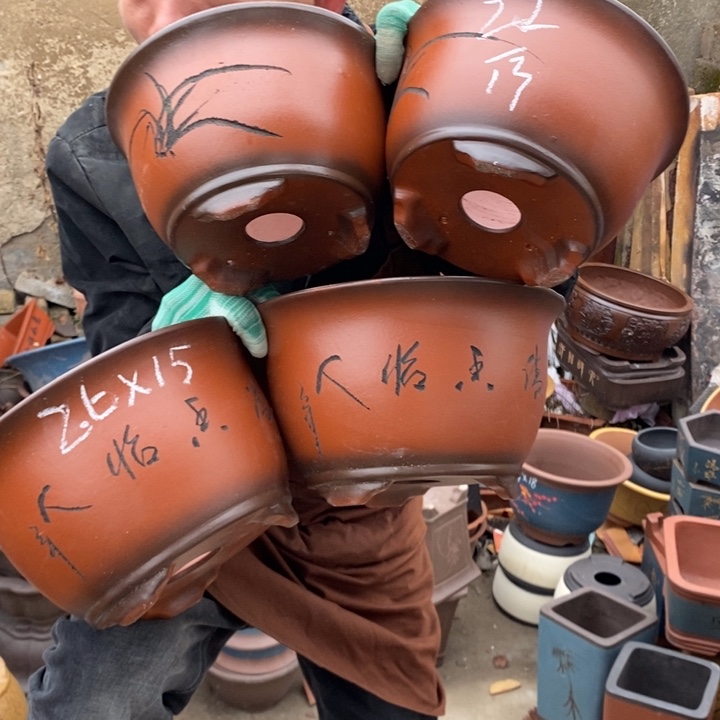 红陶这样我也可以去看