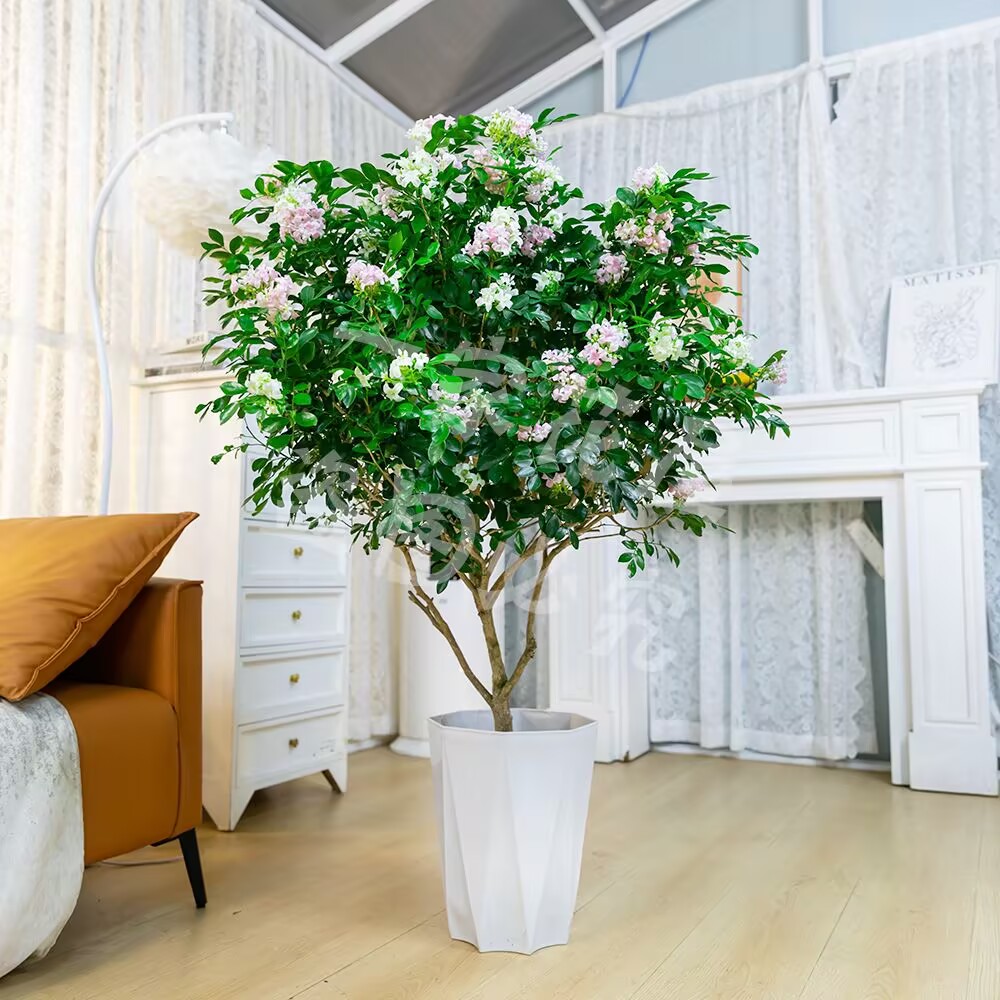 【顺丰送货上门】加大加高1.2-1.4米九里香棒棒糖开花绿植驱蚊清香