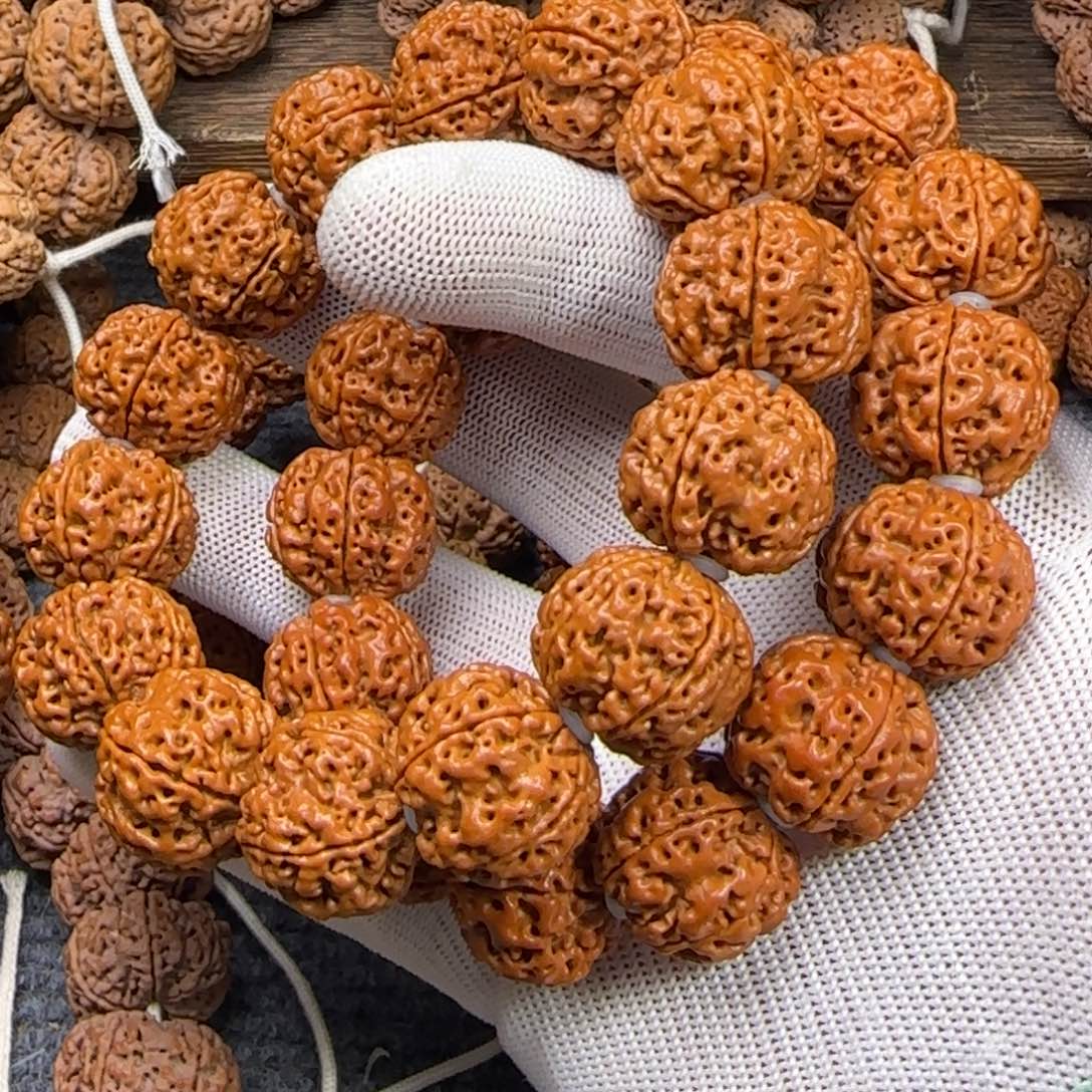 菩提金刚菩提22双龙梅花两条