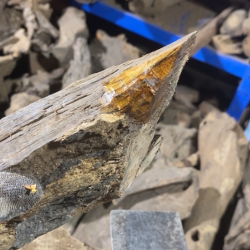 【闪购商品】贡木其他私人订制