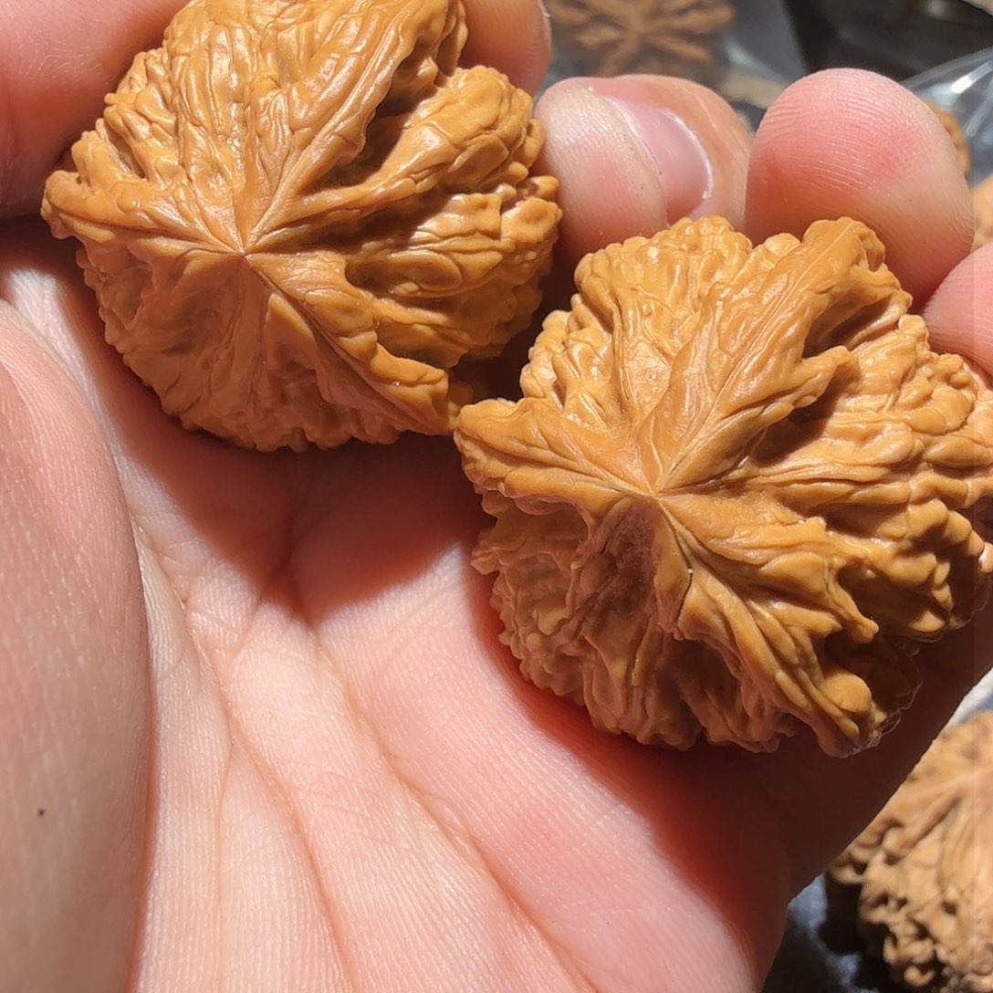 文玩核桃吊坠贾*.御龙