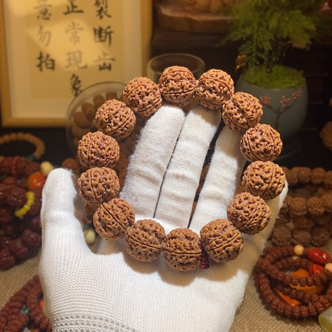 金刚菩提吊坠莫*215原籽