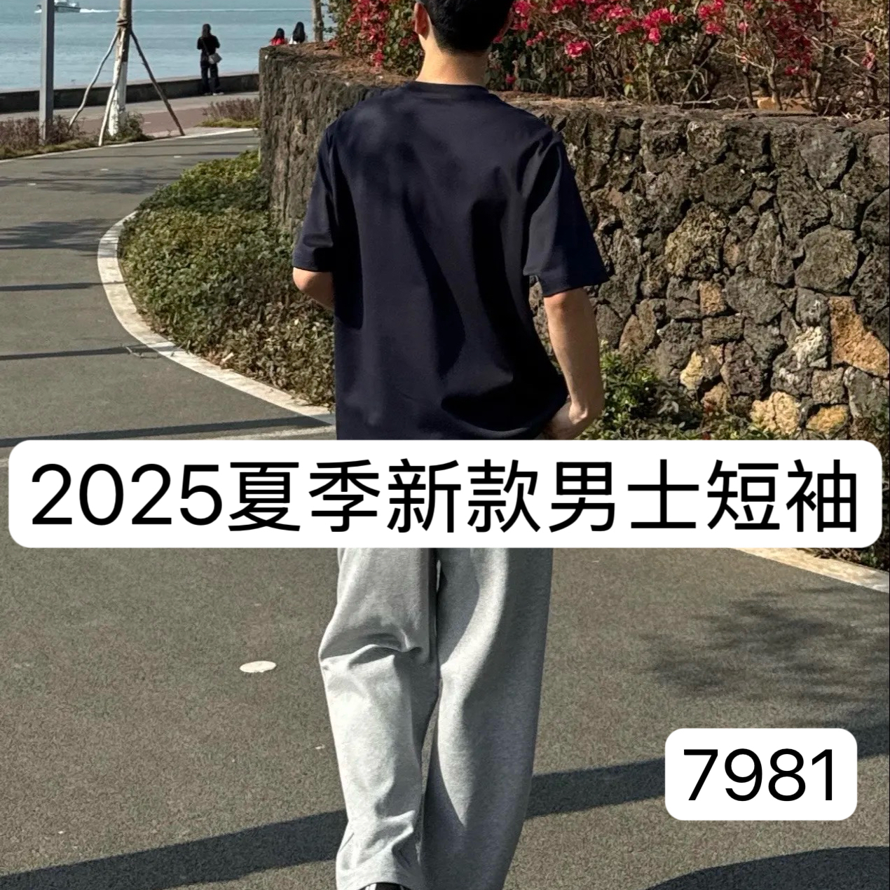 【WHC】7981-夏季新款男士短袖百搭T恤潮流半袖 5-10B【BIBAO】