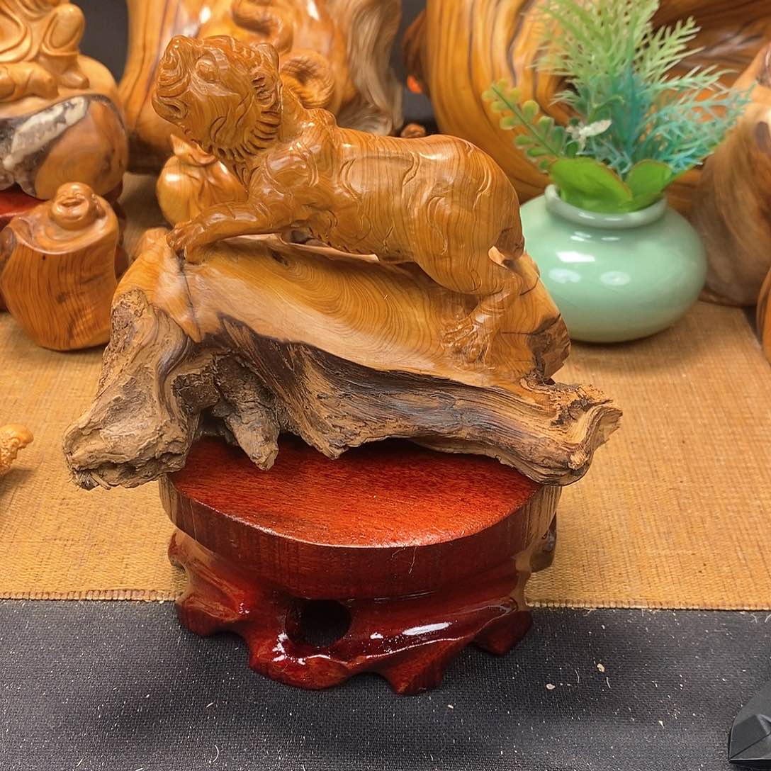 柏木（崖柏）一物一图