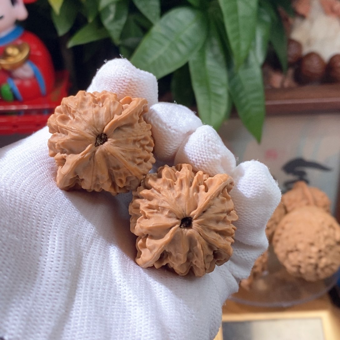 文玩核桃吊坠刘****菜秦公子