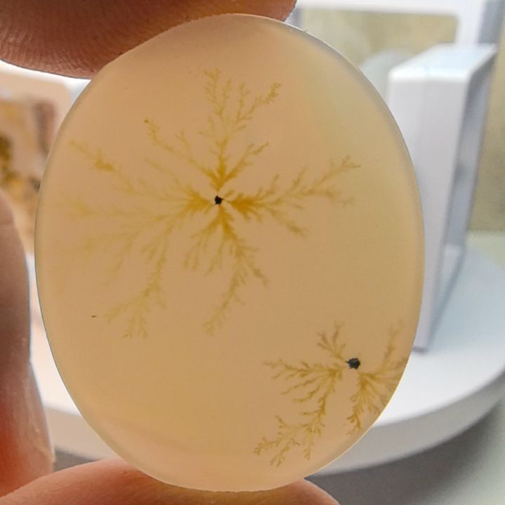 非金属时尚饰品02