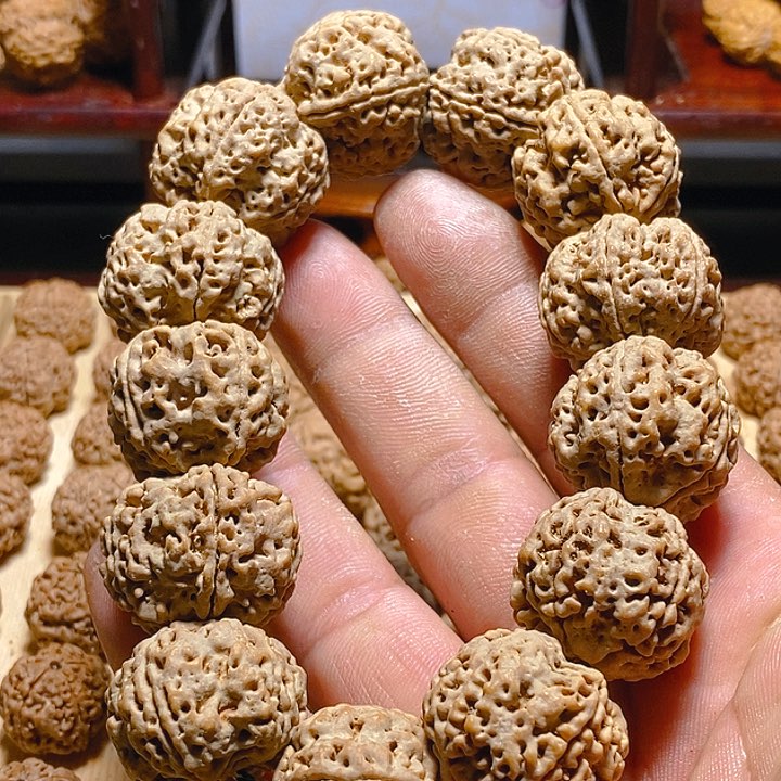 金刚菩提手串古龙梅花