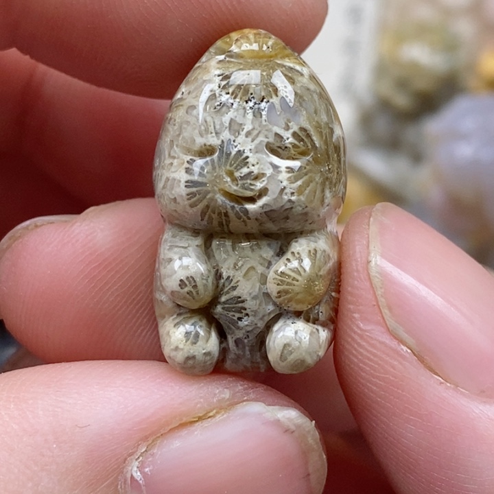 颈饰未镶嵌硅化珊瑚（珊瑚玉）有瑕 小