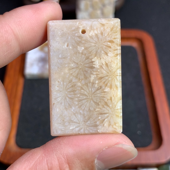 【闪购商品】硅化珊瑚（珊瑚玉）颈饰未镶嵌