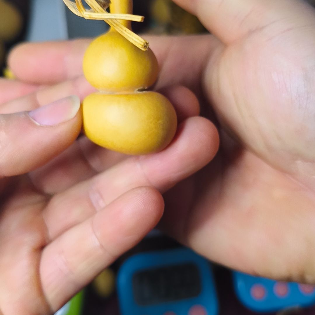 全品小钱袋一枚 有喜欢的老铁快点出手了，绝对捡漏