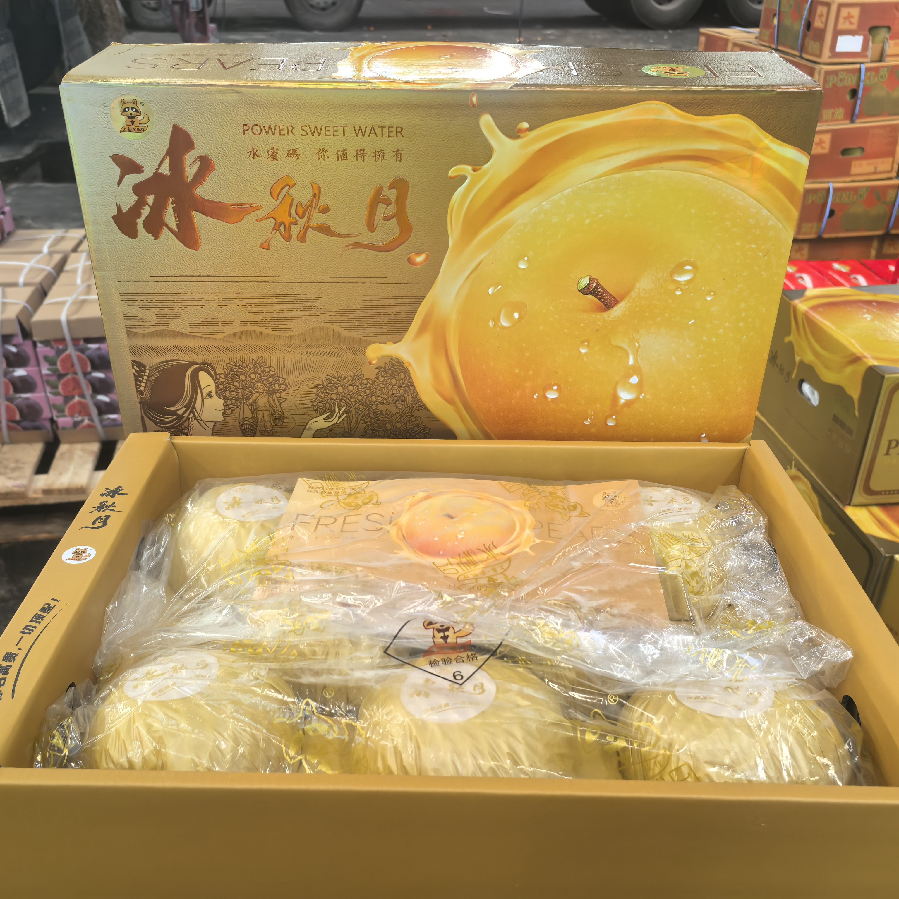 嵛山缘秋月梨6斤装礼盒装脆甜多汁细腻无渣【送礼佳品】