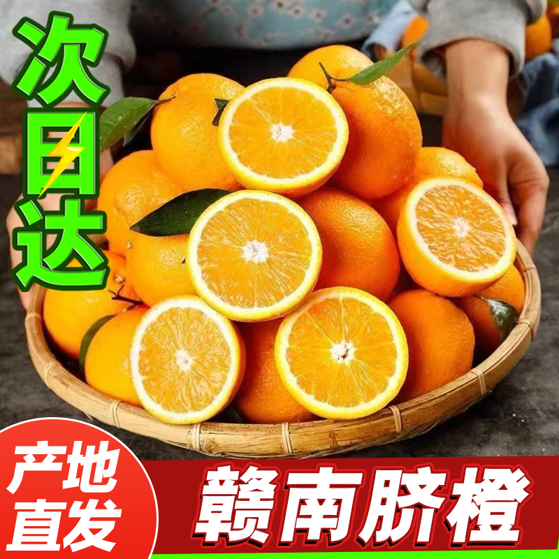 【次日达】12.2正宗赣南脐橙当季水果橙子新鲜采摘送开果器多仓发货黄金口感专属江西省