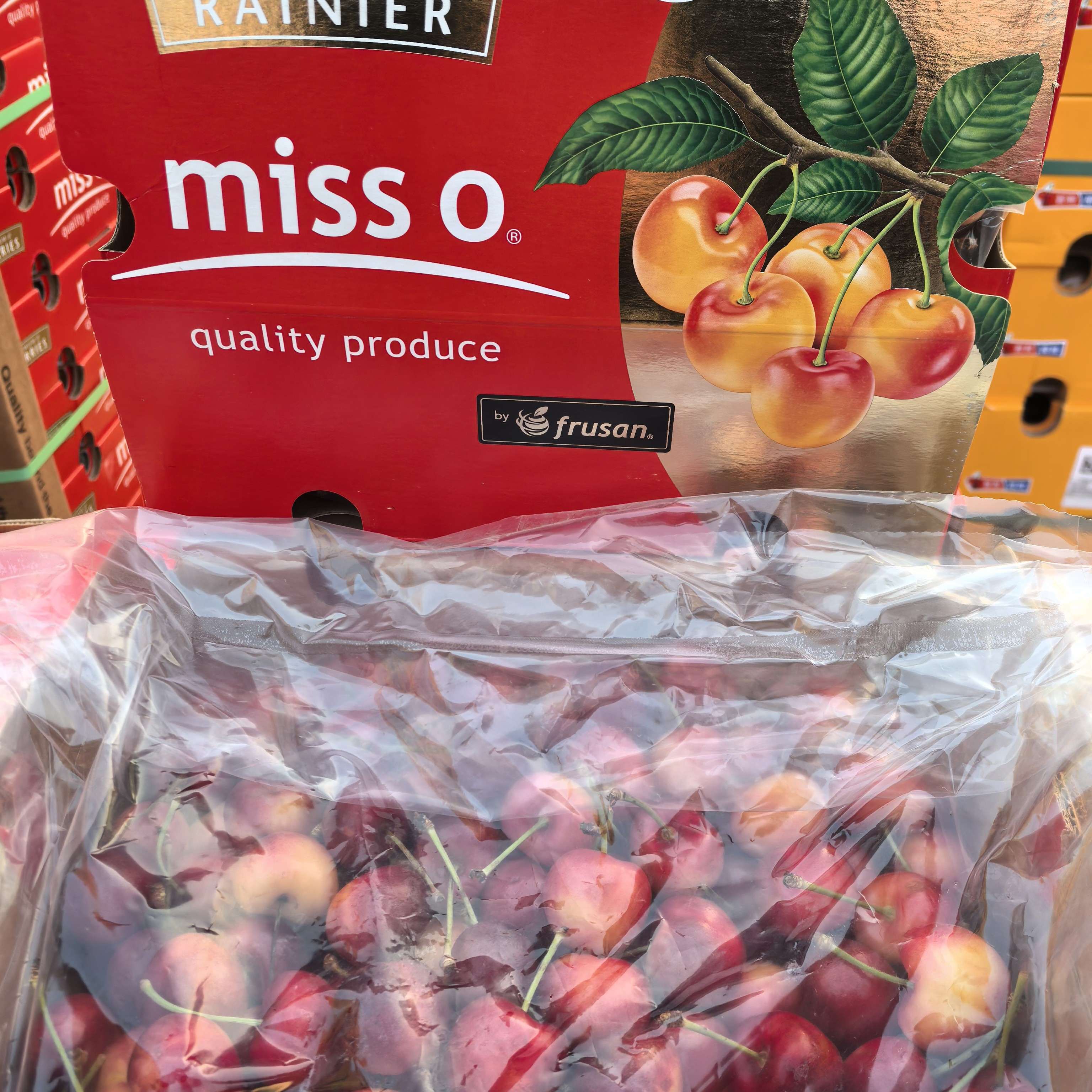 【金车】MISSO雷尼尔2J-4J智利海运进口车厘子4.4斤包邮 内附果径卡