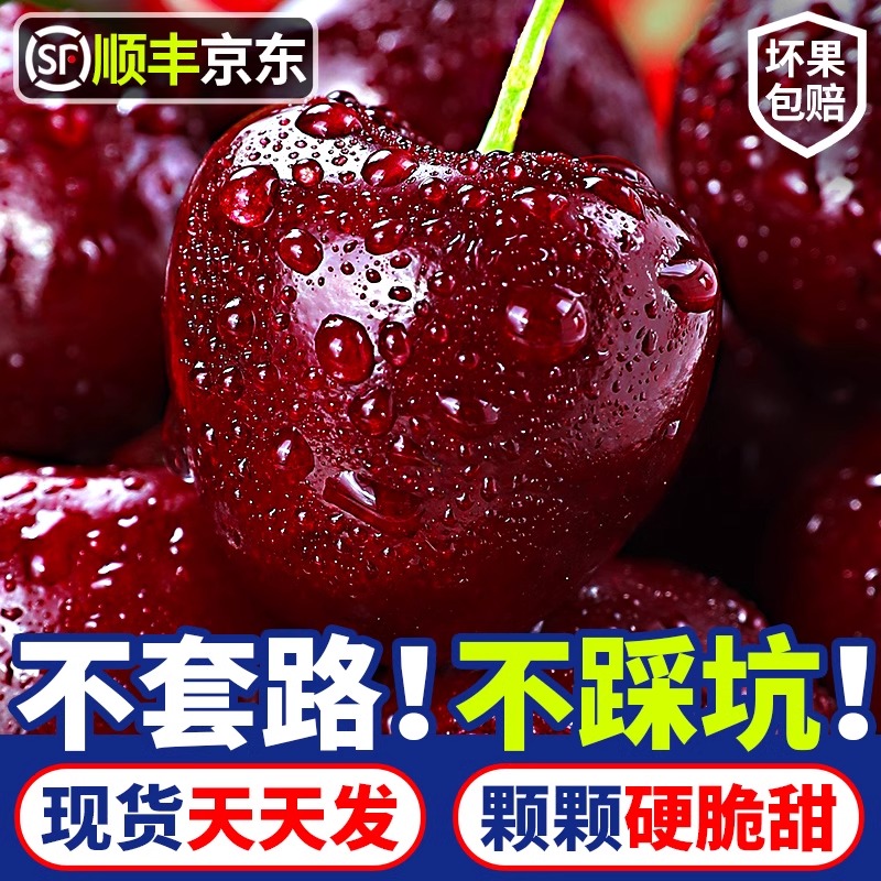 3JD果王加大【顺丰京东今天拍明天到】智利进口海运车厘子宝宝孕妇净果800g 内附果径卡FZ桑提娜智利共和国