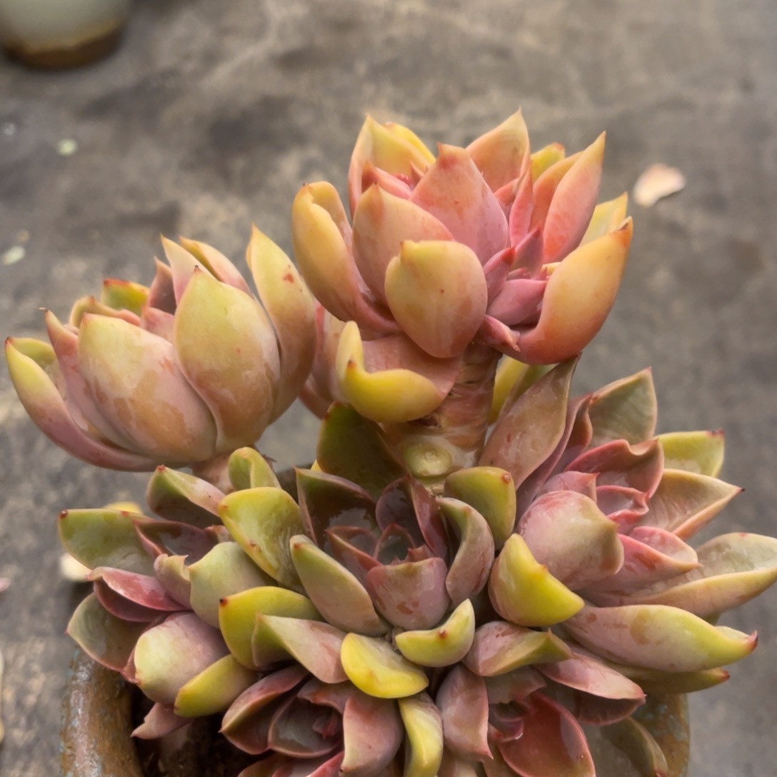 ?****?68868668686868868686