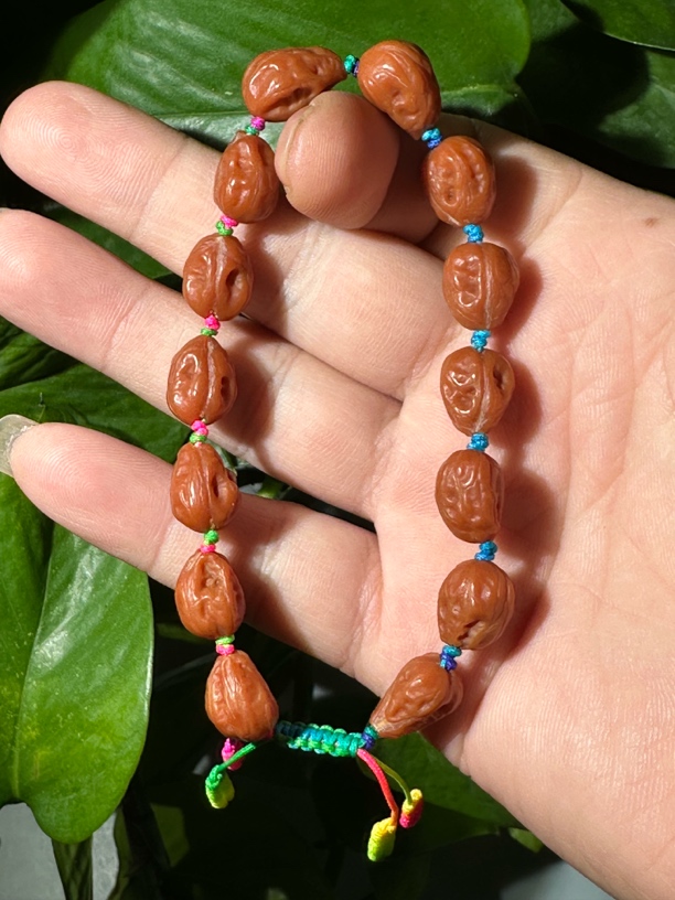 野生小核桃异形一帆风顺