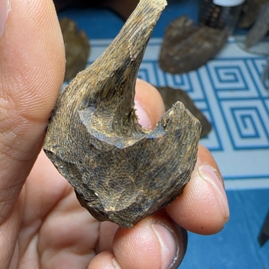 木质沉水绿奇大树丁6克