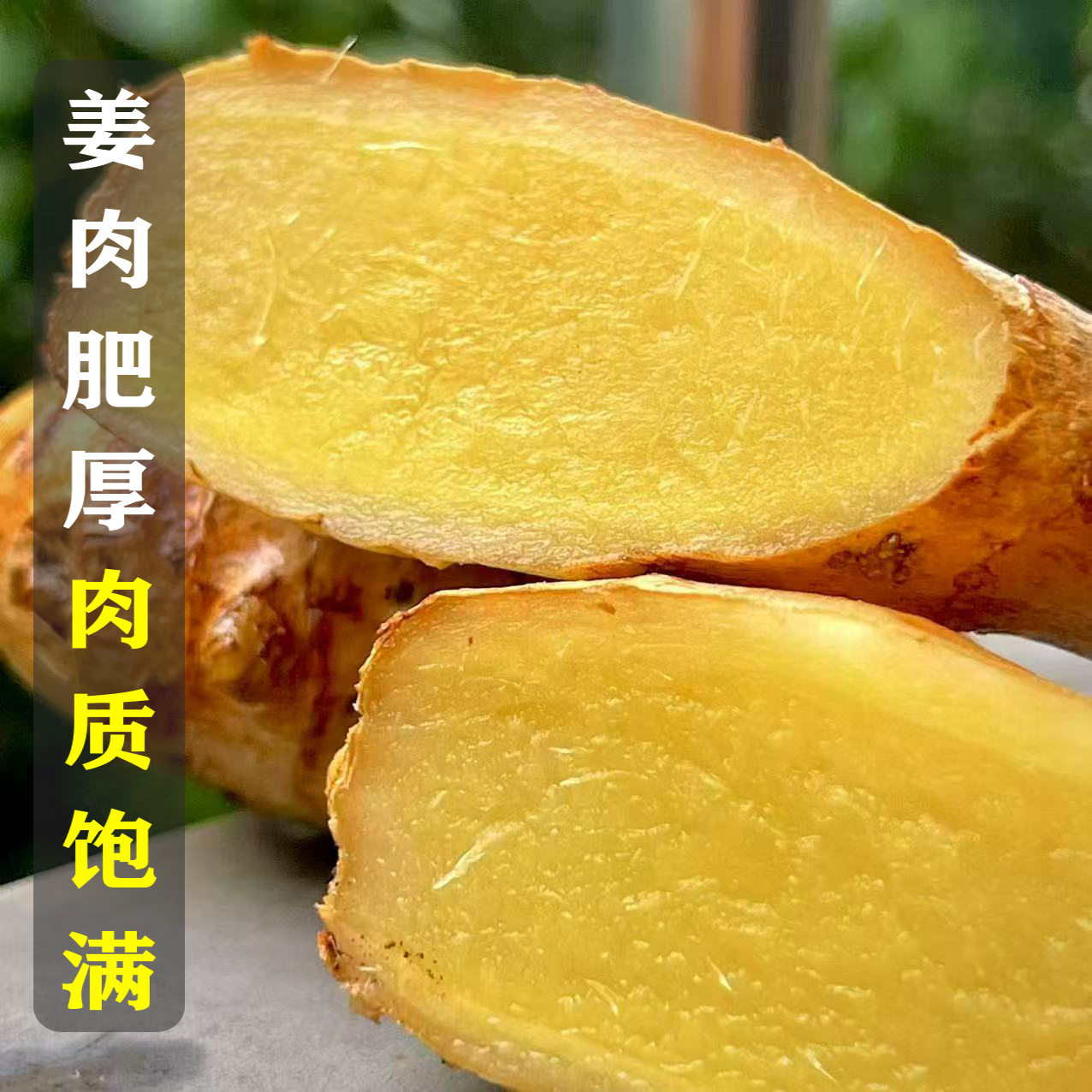 【产地直发】老姜母批发正宗高山种植蔬菜新鲜现挖辛辣整箱