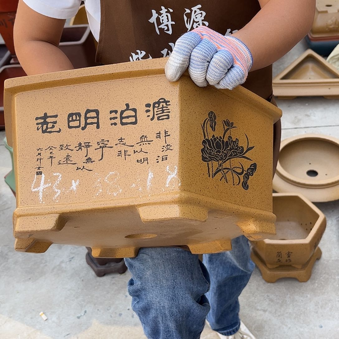 紫砂花盆盆景艺术