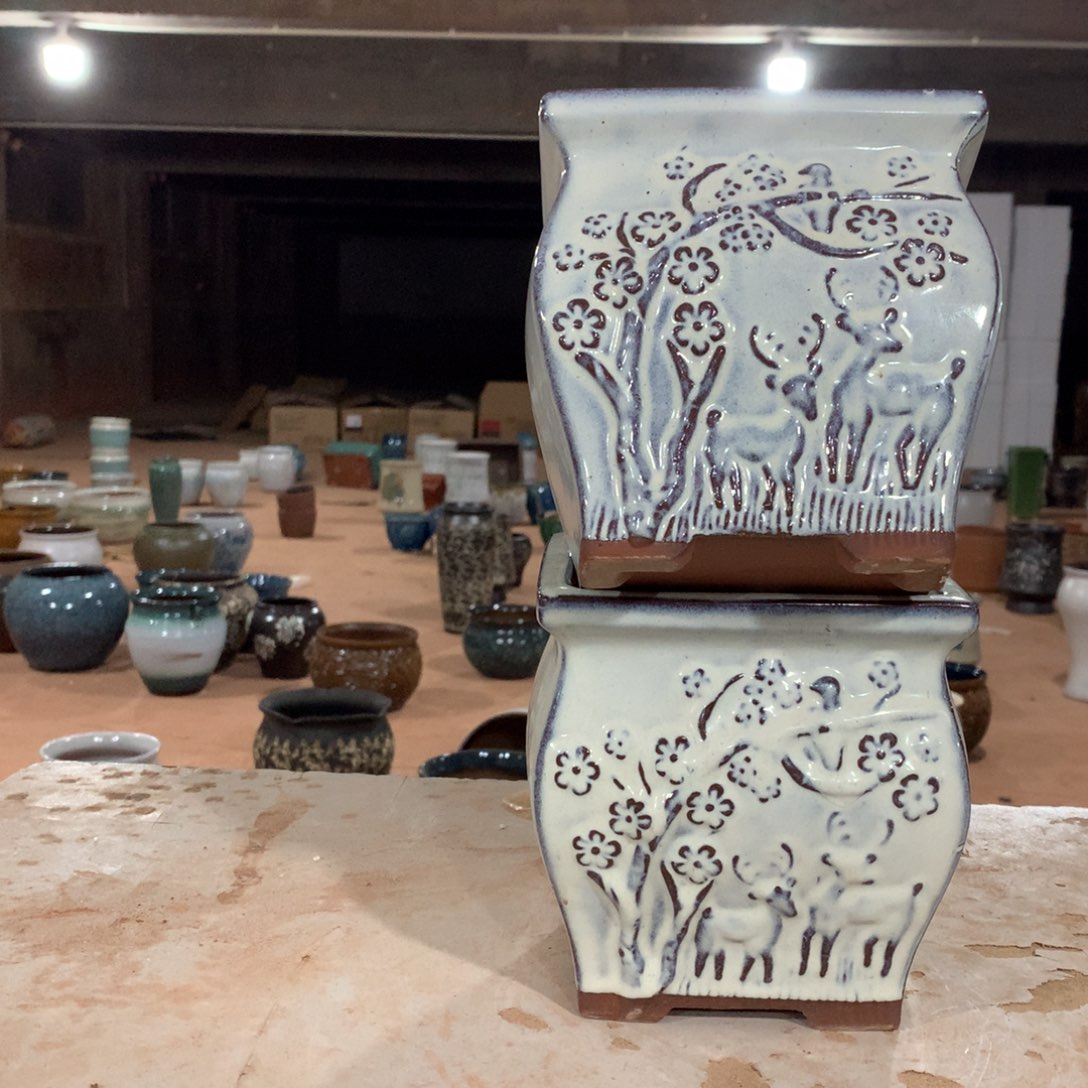 花盆啦啦啦啦啦啦啦