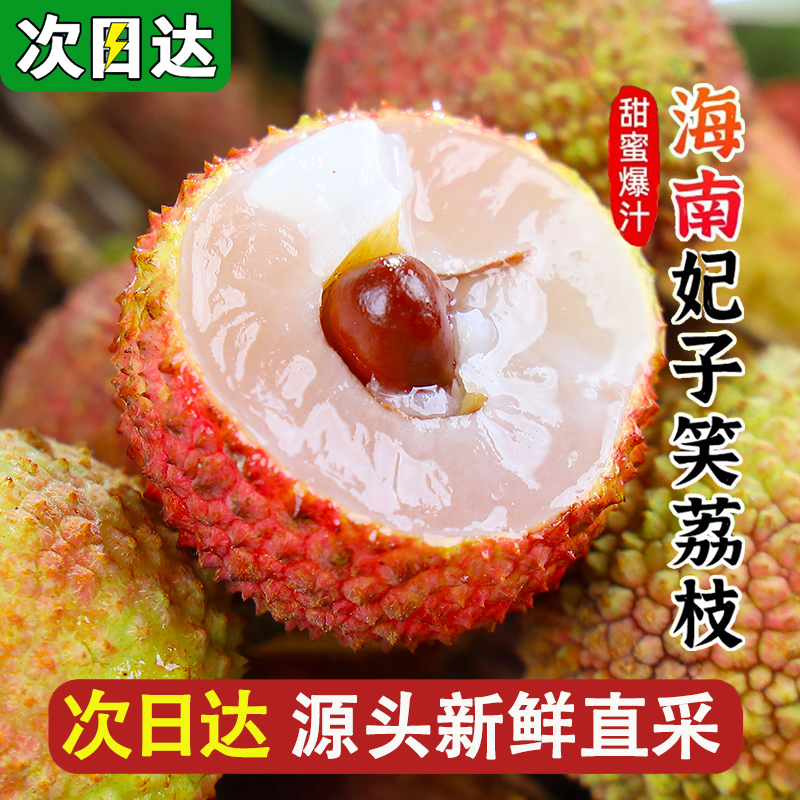 现货【明日达顺丰京东】海南直采老树荔枝新鲜水果妃子笑0.5斤-5斤装