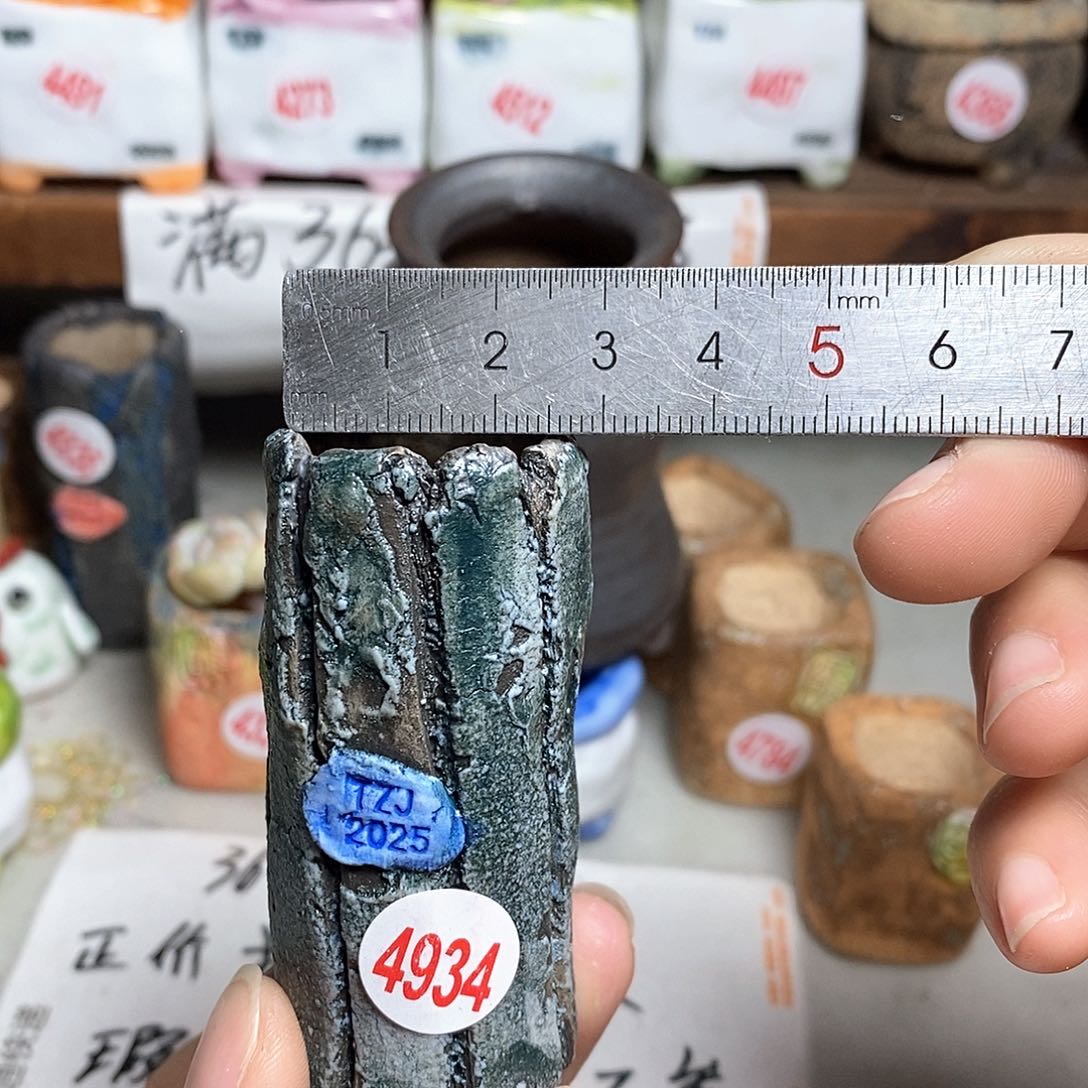 红陶拍5送一个小